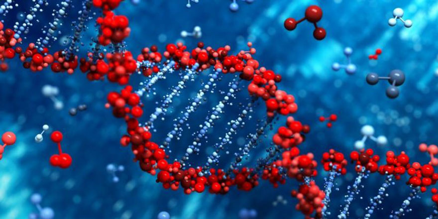 Kültürel DNA Onarılabilir (mi?)